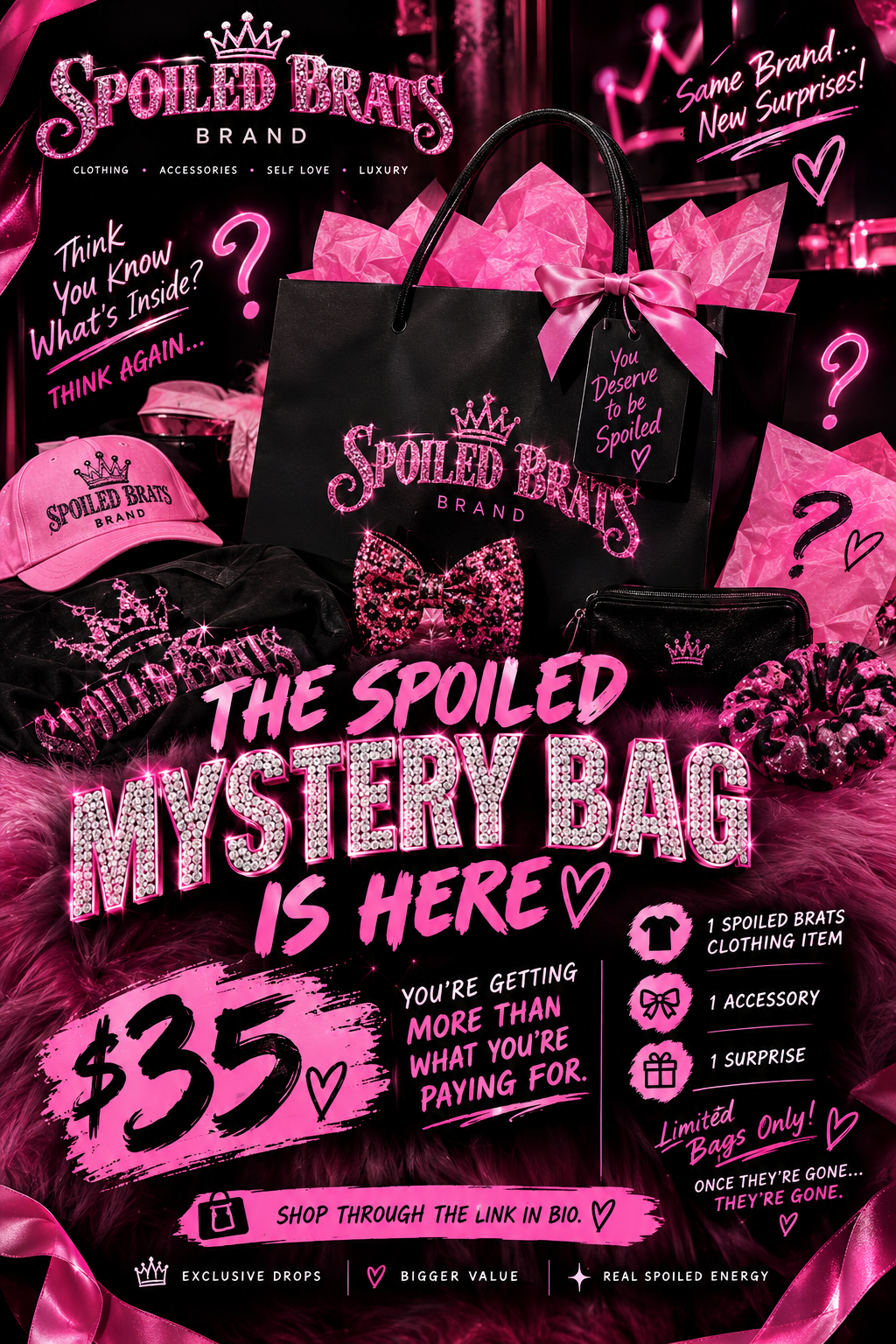 Spoiled Mystery Bag💰🛍️