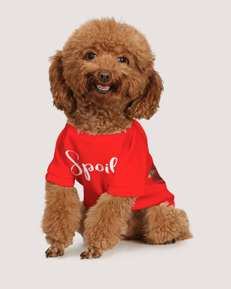 Puppy holiday